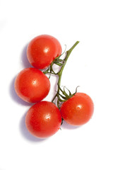 Bunch of fresh tomatoes with water drops