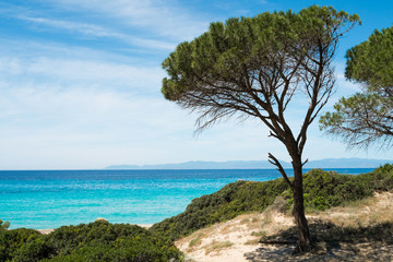Fototapeta na wymiar Beach in Cagliari