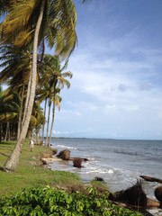 gabon libreville balade sans la cocoteraie