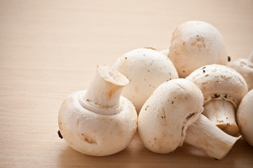 Bunch of mushrooms.