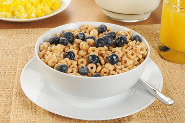 Oat cereal with blueberries