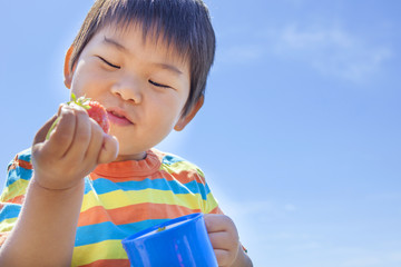 イチゴ狩りを楽しむ子供