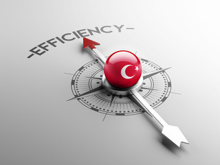 Fototapeta premium Turkey Efficiency Concept