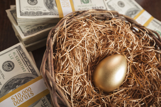 Golden Egg in Nest and Thousands of Dollars Surrounding