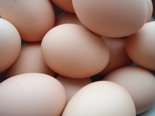 たまごがいっぱい