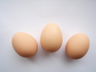 たまご