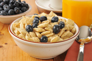 Breakfast cereal with blueberries