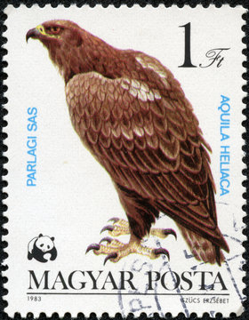 stamp printed in Hungary shows Eastern Imperial Eagle