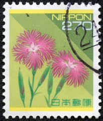 stamp printed in Japan shows Wild Pink, Pennsylvania Catchfly