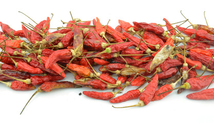 Dried chilli or chilli pepper isolated on white background cutou