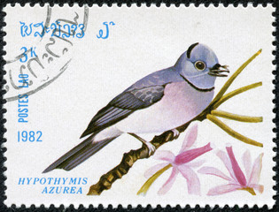 stamp printed in LAOS shows Black-naped Monarch