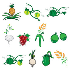 Fruit and vegetable vector illustration cartoon