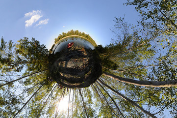 Planet island forest © Zoran Jesic