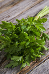 Petersilie im Bund