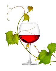 Glass of wine isolated on white background