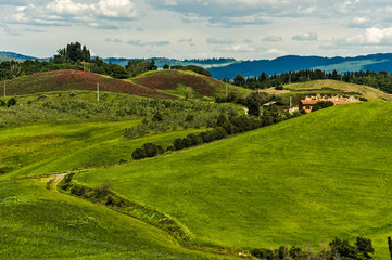 Fototapeta na wymiar Sienesi Hills