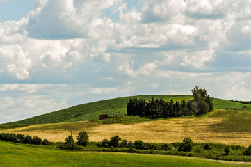 Obraz premium Sienesi Hills