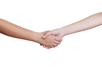 Female handshake isolated on white