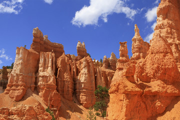 Fototapeta premium hoodoos de Queen's garden trail, Bryce canyon