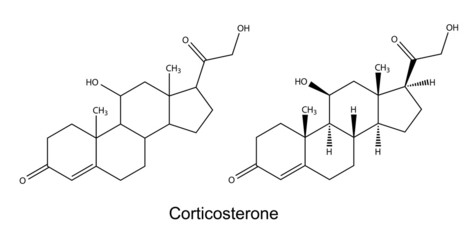 Structural chemical formulas of corticosterone