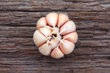 Garlic whole on the wooden background