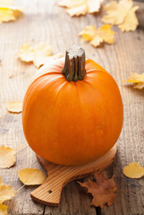 pumpkin on wooden background