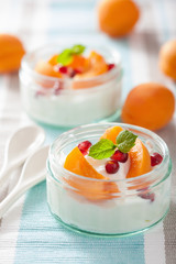 healthy breakfast with yogurt apricot pomegranate