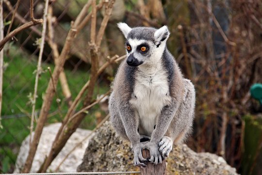 Receptionist at Salzburg zoo