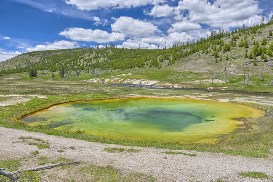 Opal Pool in Yellowstone National park
