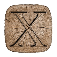 Wooden alphabet block, letter X