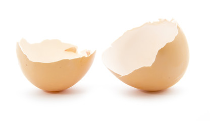 broken egg shell