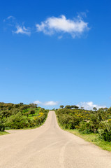 Strada di campagna, Sardegna