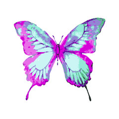 butterflies design