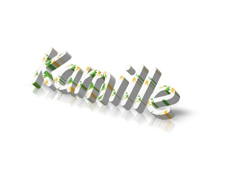 Kamille