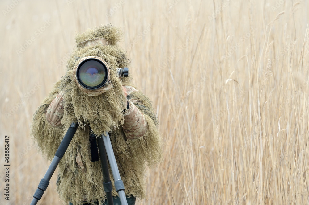 Wall mural wildlife photographer outdoor