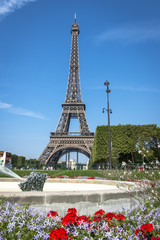 Eiffel Tower view from Champ de Mars