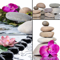 Collage of different compositions with pebbles and flowers