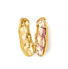 Boiled peanuts on white background