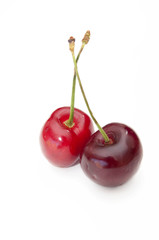 Cherries