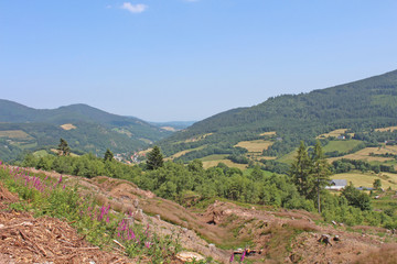 Naklejka premium Vosges