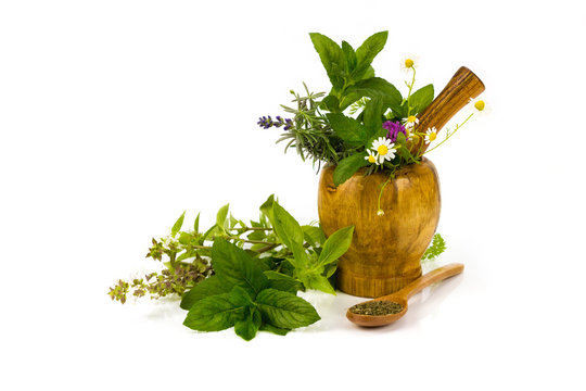 mortar with herbs isolated