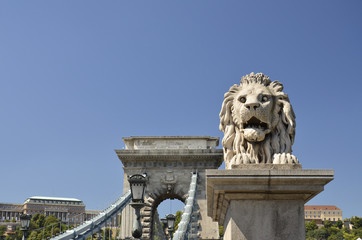Leone e Ponte delle Catene, Budapest. 2