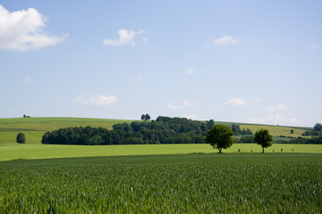 Felder in Deutschland