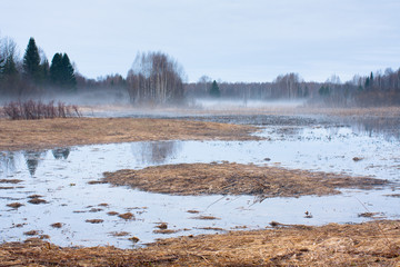 duck swamp at twilight