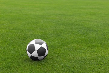 Fototapeta na wymiar Piłka nożna na boisku