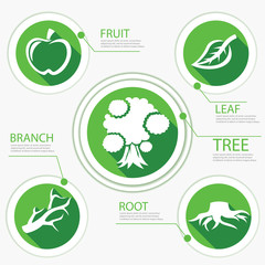 Tree Chart Go Green Flat Design