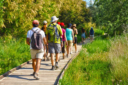 The Tablas de Daimiel National Park, Climate Change, Guadiana River, Excursionist, Ciudad Real, Spain