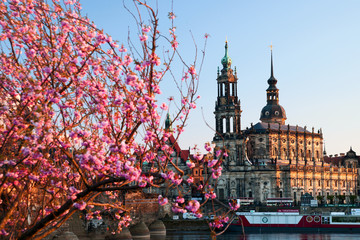 Frühling in Dresden