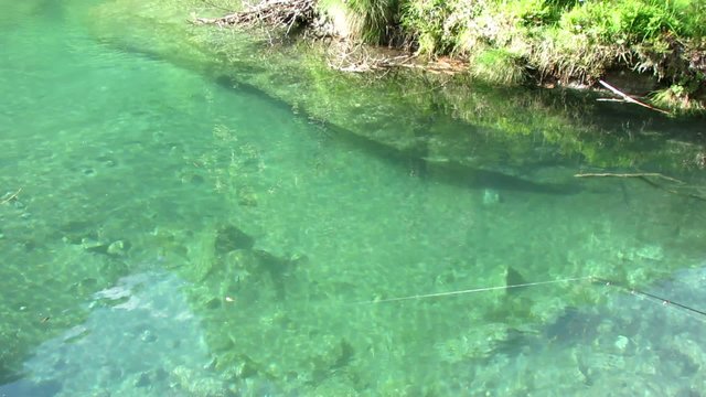 pescare sul fiume