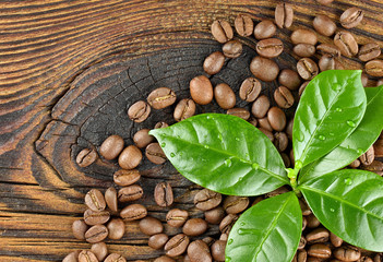 Ziarna kawy z liściem na desce